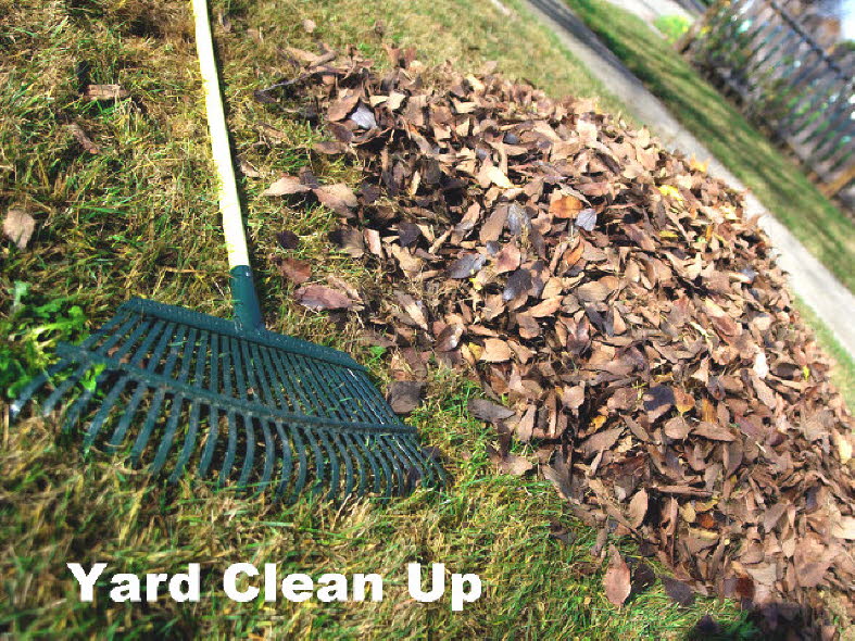 Rake Leaves